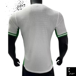 Nigeria 2024/2025 Home Jersey (Player Version) back